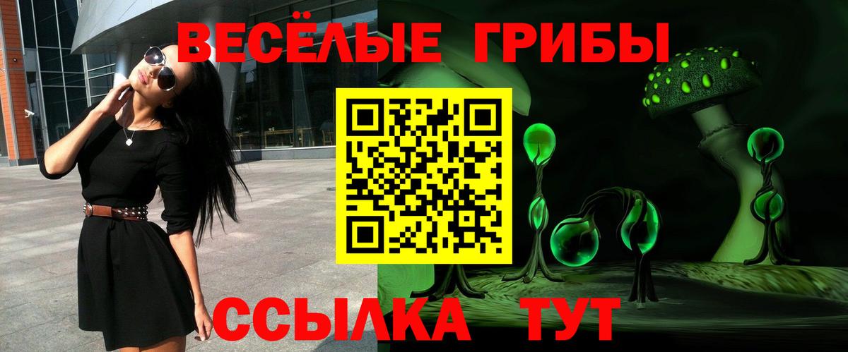 Арсеньев  Псилоцибиновые грибы прущие грибы  Вход с VPN 